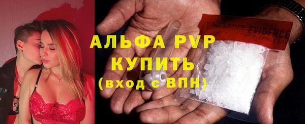 дмт Пестово