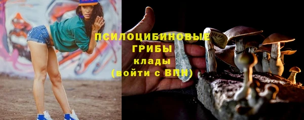 сатива Белоозёрский