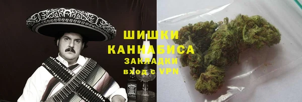 шишки Беломорск