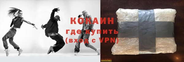 шишки Беломорск