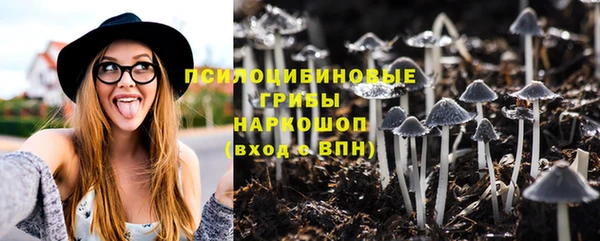 шишки Беломорск