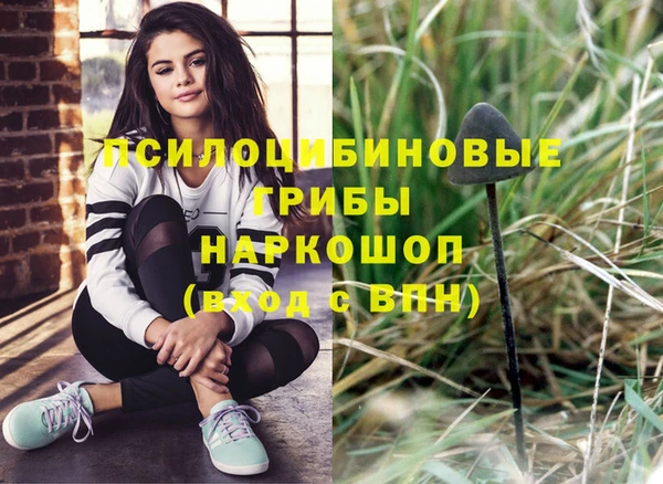 дурь Белокуриха