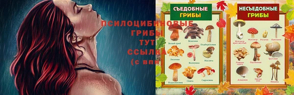 дурь Белокуриха