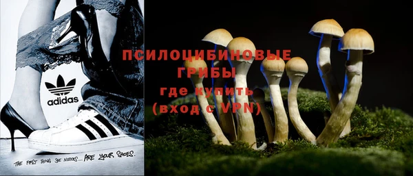 шишки Беломорск