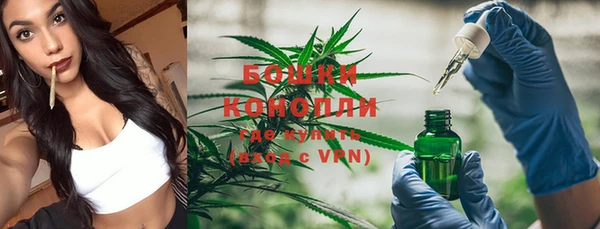 дурь Белокуриха