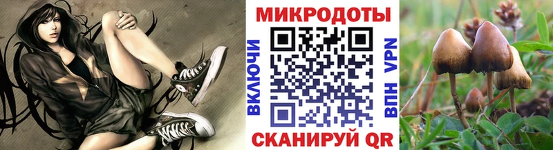 Галлюциногенные грибы мухоморы Калуга