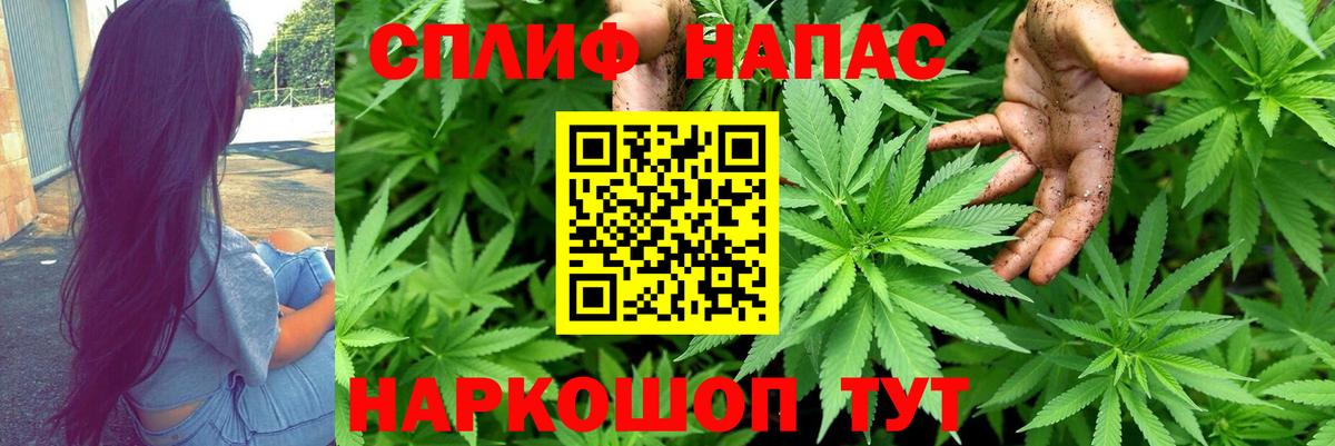 Конопля ГИДРОПОН  Бошки Шишки OG Kush  Бошки Шишки гибрид  Калуга  Вход с VPN 